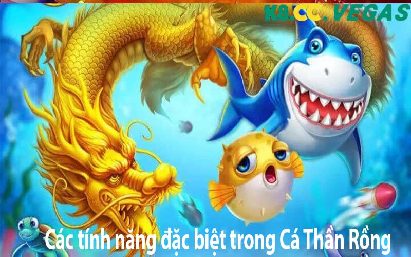 Các tính năng đặc biệt trong Cá Thần Rồng